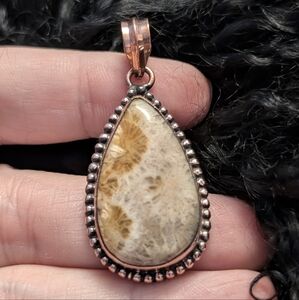 Fossil Coral Teardrop Pendant